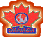International Police Association